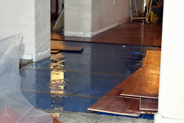 Professional Storm Water Damage Restoration technician working in Waverly, IL